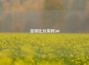 足球比分实时500
