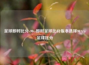 足球即时比分-90vs即时足球比分版本选择90ⅴs足球比分