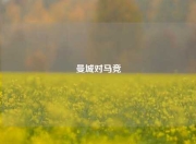 曼城对马竞