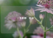 手机即吋比分