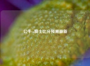 公牛vs骑士比分预测最新