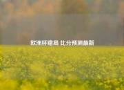 欧洲杯赌局 比分预测最新
