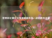 世界杯比赛比分预测揭秘未来一战的胜负关键