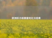 欧洲杯小组赛捷克比分结果