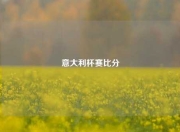 意大利杯赛比分