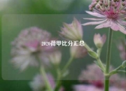 2020荷甲比分汇总