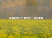 竞彩足球比分,即时比分竞彩推荐
