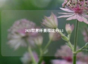 2021世界杯赛程比分3:3