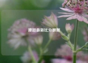澳超最新比分数据