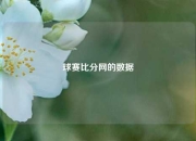 球赛比分网的数据
