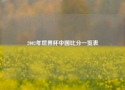 2002年世界杯中国比分一览表