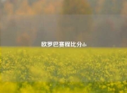 欧罗巴赛程比分ds
