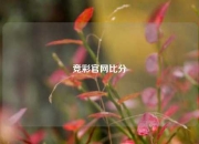 竞彩官网比分