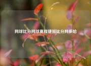 网球比分网球赛程捷报比分网多哈