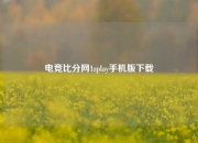 电竞比分网1zplay手机版下载