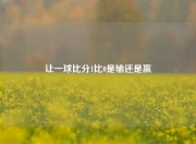 让一球比分1比0是输还是赢