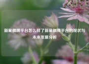 新星棋牌平台怎么样了新星棋牌平台的现状与未来发展分析