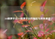 318棋牌平台318棋牌平台的崛起与未来展望