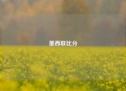墨西联比分