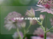 山形山神vs长崎航海直播