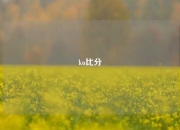 ku比分