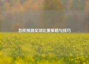 怎样预测足球比赛策略与技巧