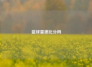 篮球雷速比分网