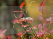 休斯顿足球