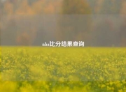 nba比分结果查询