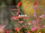 星探足球