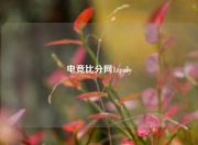 电竞比分网1zpaly