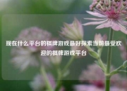 现在什么平台的棋牌游戏最好探索当前最受欢迎的棋牌游戏平台