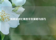 预测足球比赛胜平负策略与技巧
