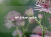 西甲赛程2020-2021皇马