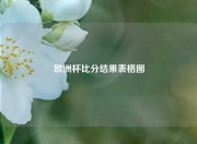 欧洲杯比分结果表格图
