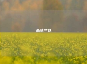 桑德兰队