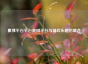 棋牌平台平台象棋平台与游戏乐趣的融合
