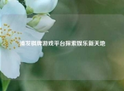浦发棋牌游戏平台探索娱乐新天地