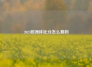 2021欧洲杯比分怎么算的