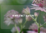 欧洲杯又输了 比分了吗
