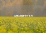 比分大师是干什么的