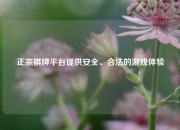 正宗棋牌平台提供安全、合法的游戏体验