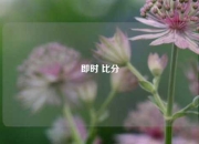 即时 比分