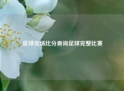 足球完场比分查询足球完整比赛