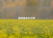 篮球最全比分网