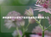神来棋牌平台官网下载探索虚拟世界的新入口