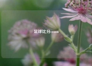 足球比分crown