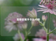 英雄联盟外卡比分网