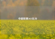 中超联赛2021比分