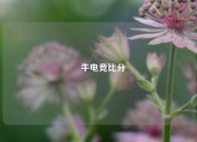 尙牛电竞比分